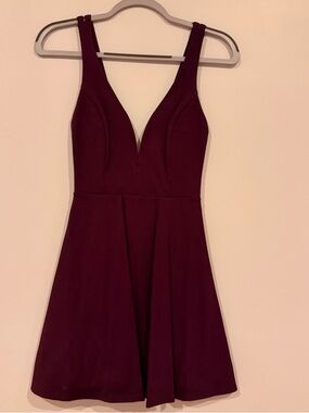 Lulu's Wine Plunge Neck Skater Dress